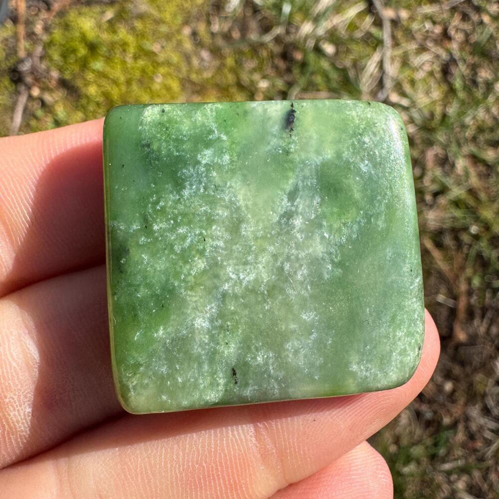 Canadian Jade Palm Stone Nephrite #6